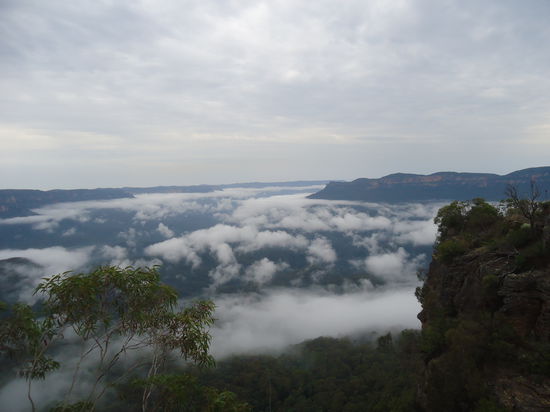 blue vernebelte Mountains