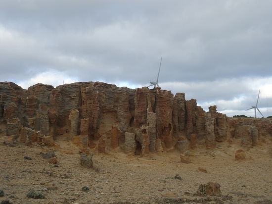 Petrified Forest - versteinerter Wald