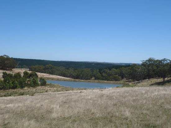 ein kleiner Damm ist auch auf dem Grundstueck, wenns richtig warm ist kann man schwimmen gehen!