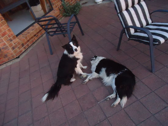 das ist Katie (3 Jahre) und Jenny (11 Jahre)