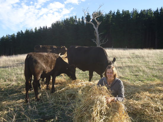 hehe Ich beim Kuehe fuettern