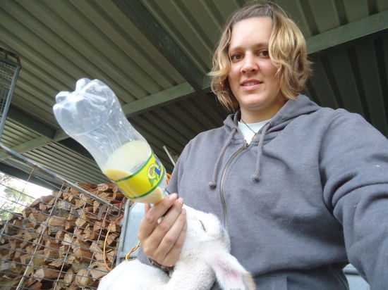 Ich beim Lämmchen füttern..( bemerkt bitte mal mein multitasking: füttern, versuchen zu lächeln und gleichzeitig Foto machen!! )