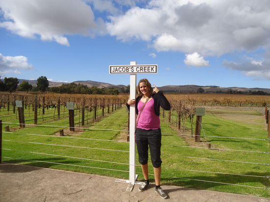 die Barossa Valley Weintour