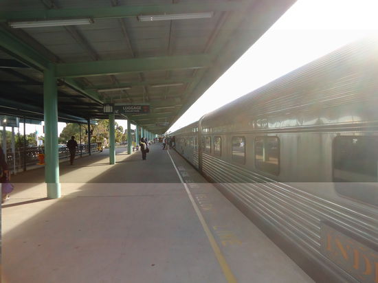 der Indian Pacific Train - gut sieht so auch nicht anders aus wie andere Züge!