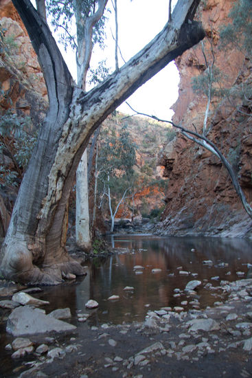 Serpentine Gorge