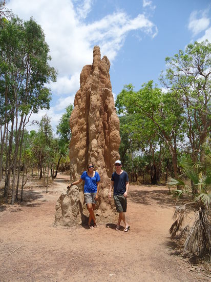ein mega Termitenhügel!