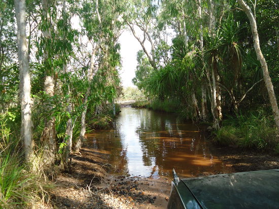 die Flussdurchquerung