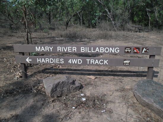..uuund ab auf die Allradstrecke 