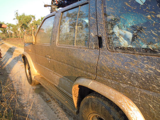 Farbe des Autos? Braun! 