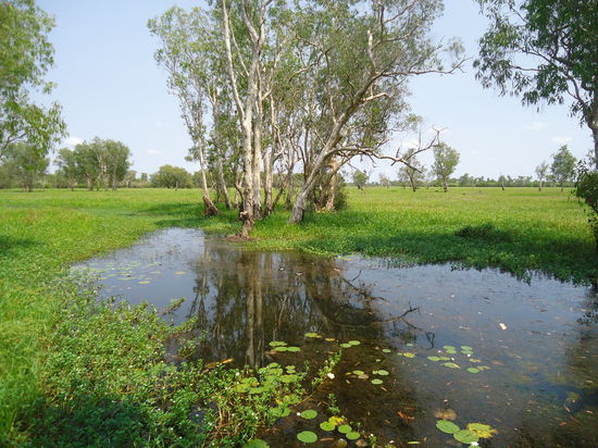 Kakadu NP