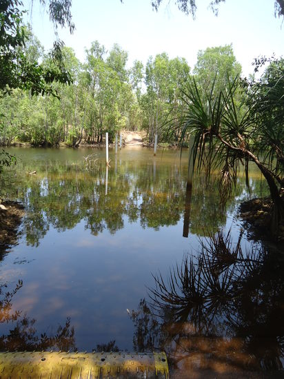 eine Flussdurchquerung - zu tief für uns!