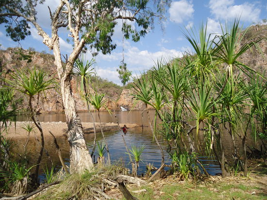 die Edith Falls - gehört zum Katherine Gorge Nationalpark