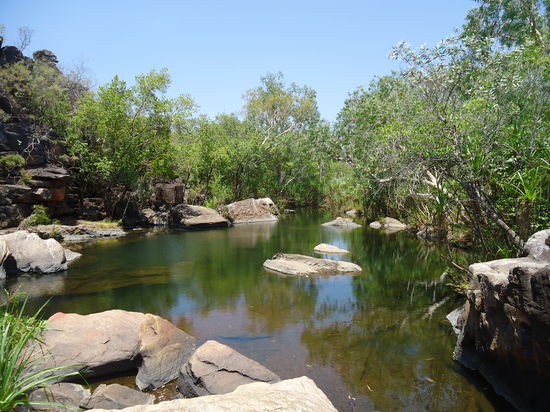 auf dem Wanderweg zu den Mitchellfalls