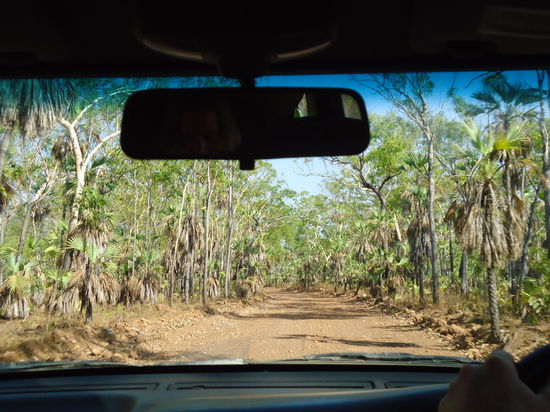 die Straße zu den Mitchell Falls