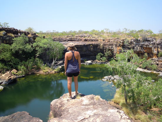 bei den Surveyorpools