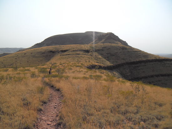 ab auf Mount Bruce! Ein langer Weg...