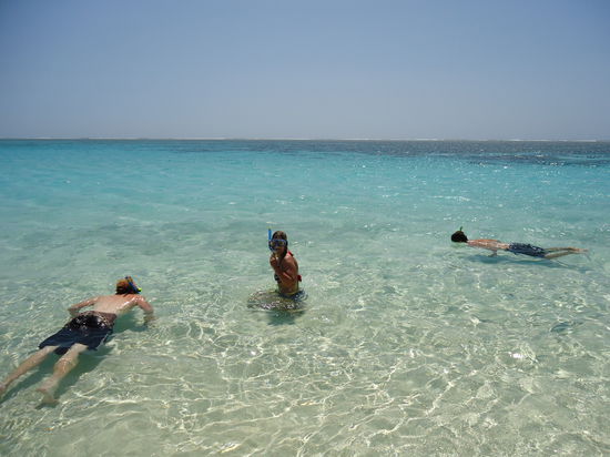 schön am Schnorcheln 