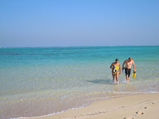 genug geschnorchelt!