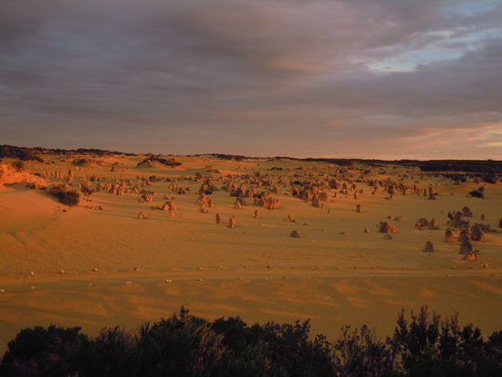 die Pinnacles bei Sonnenuntergangslicht