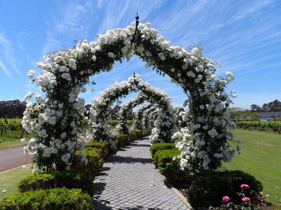 Voyager Estate Weingut - eines der Größeren!