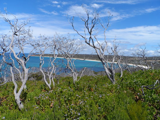 Cape Naturaliste