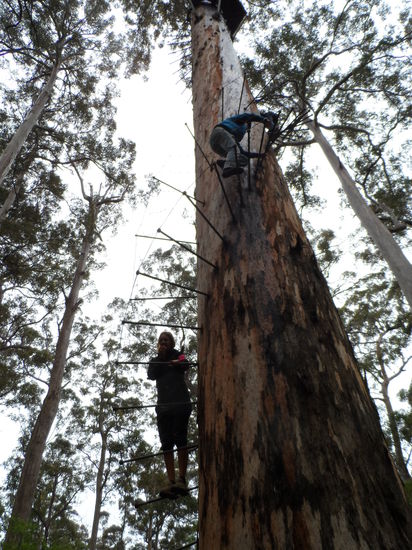 waren ziemlich große Stufen!