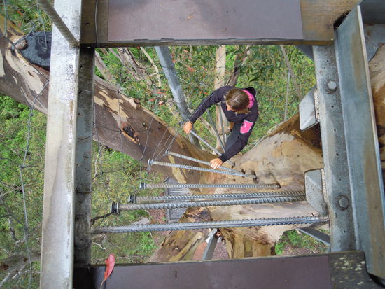 nicht runter schauen...!