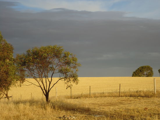 hier fanden wir ein kleines Plätzchen für unser Camp 