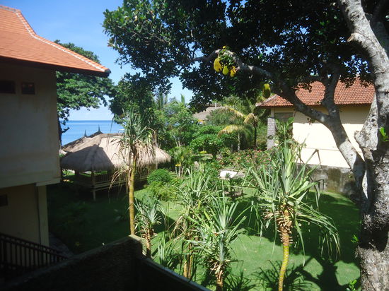 Ausblick aus meinem Zimmer