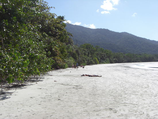 am Strand von Cape Tribulation