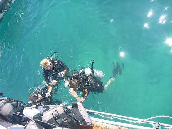 Kurz vorm Abtauchen =)