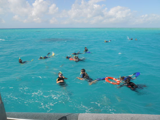 Da schnorcheln sie... 