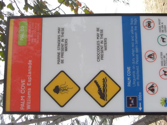 Das Schild steht hier in Palm Cove! Aber zur Zeit ist es ungefährlich... 