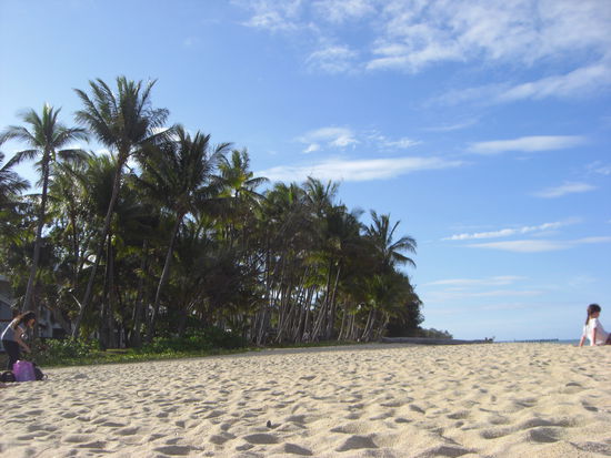 Der Strand von Palm Cove