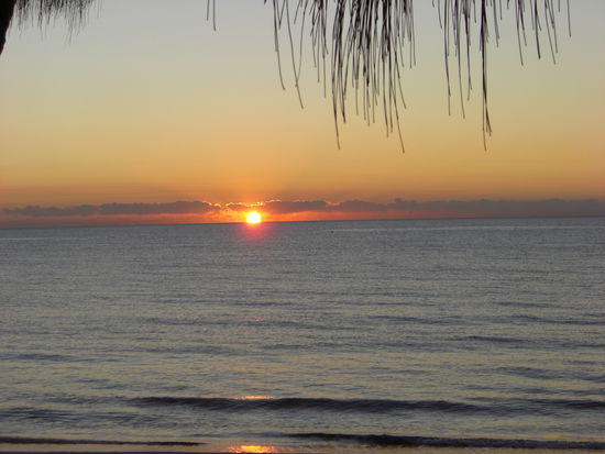 Das ist mein allmorgendlicher Anblick! Da lohnt es sich doch aufzustehen!
