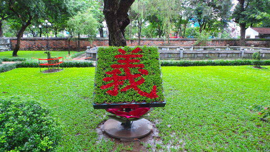 Schoen gepflegter Garten