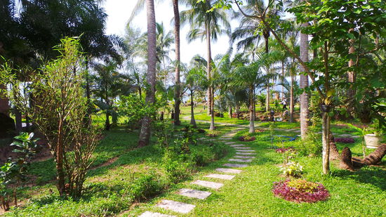 die kleine Resortanlage