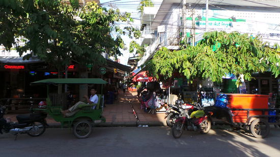 links einer der tausend Tuktukfahrer von Siem Reap