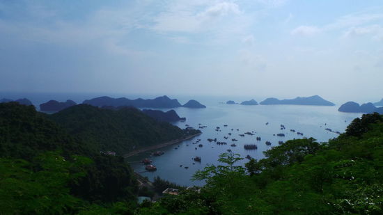 Sicht auf Cat Ba Town mit Hafen