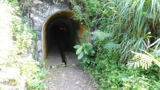 Tunnel aus Kriegszeiten