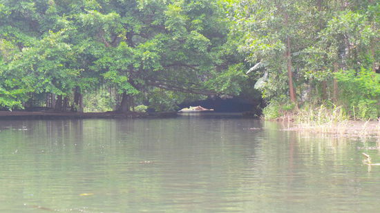 durch diese niedrige Höhle ging es!