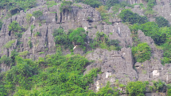 genau in der Mitte des Bildes ist eine Ziege am klettern! 