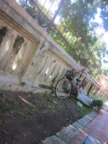 kleines Nickerchen im Schatten