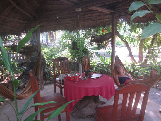 Paradise unverhofft im Garten