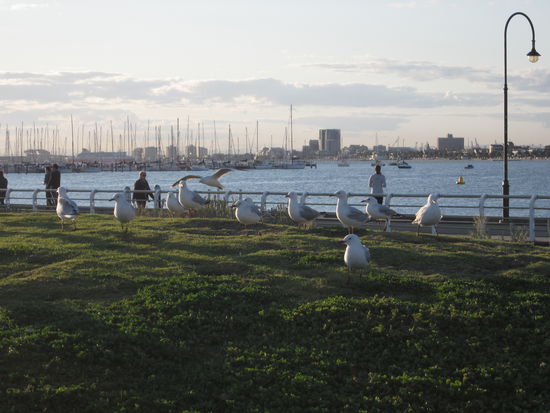 St. Kilda, am Strand