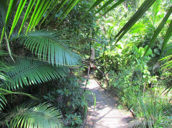 Man sieht leider die Größenverhältnisse nicht, aber diese Spinne ist ca. so groß wie meine Hand