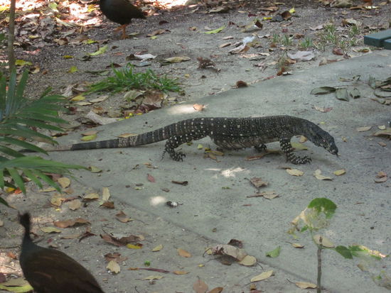 Namen vergessen, ist jetzt mal eine Aufgabe für euch 