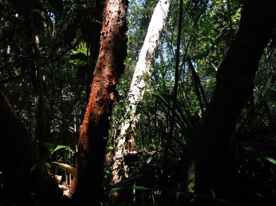 soooo schön!! die Farben