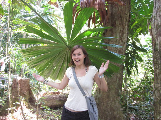 Riesen große Bläääätter!!