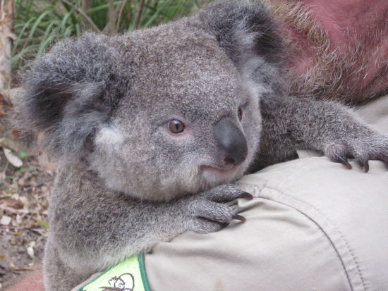 das Baby hätte ich fast geklaut... soooo sweet 